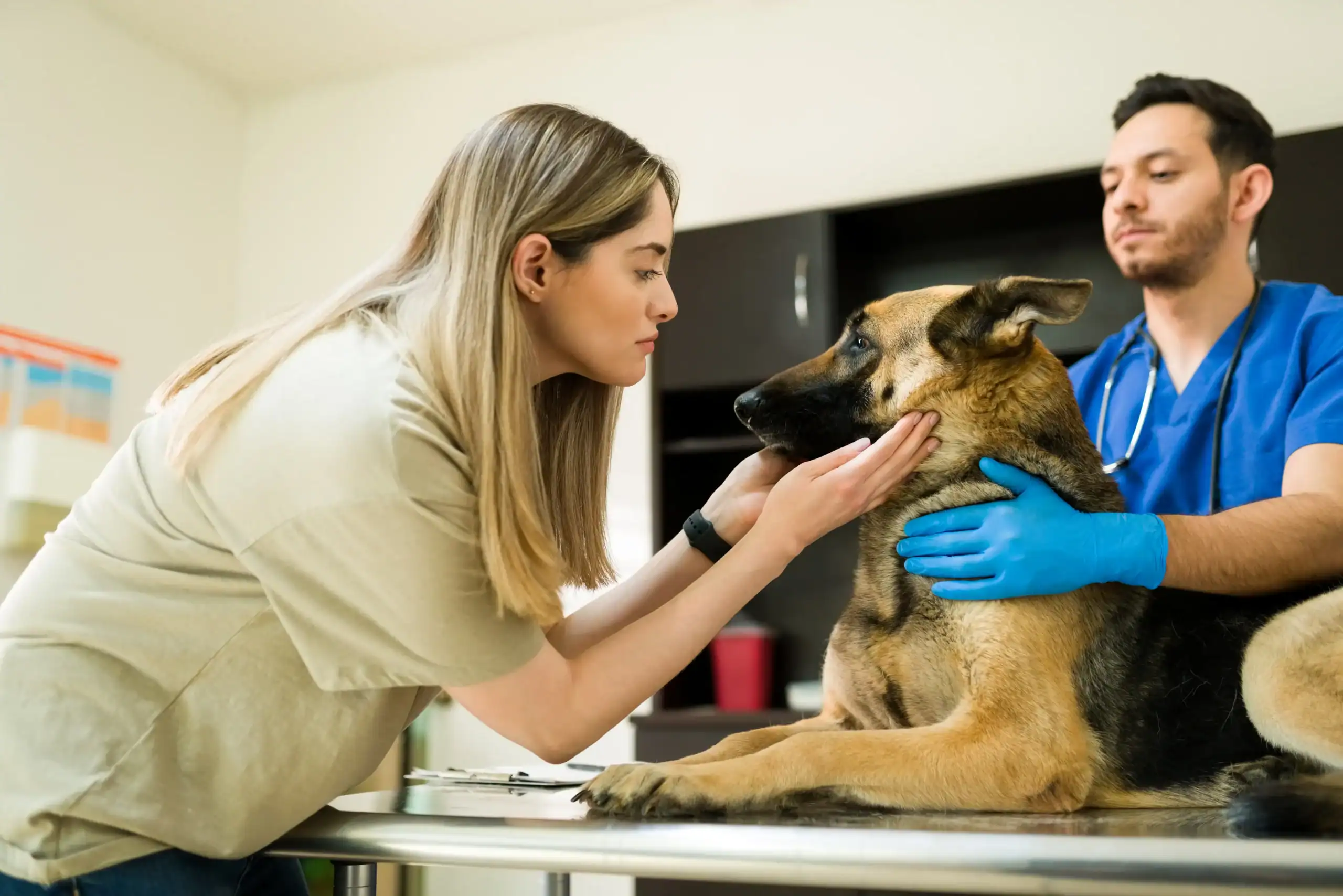 pet-cremation_houston_tx_z6evfe-scaled-1.png