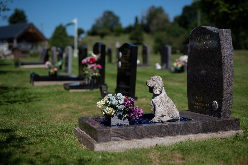 costs-of-pet-cremation.jpg