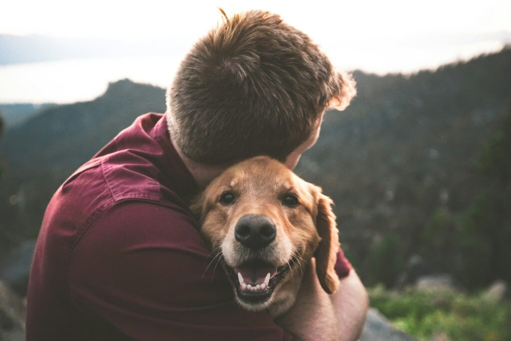 how-much-does-oet-cremation-cost-petstoremember.com_-1024x684.png